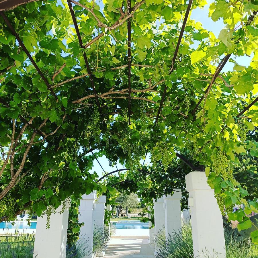 Masseria Almadava Polignano a Mare Exterior photo